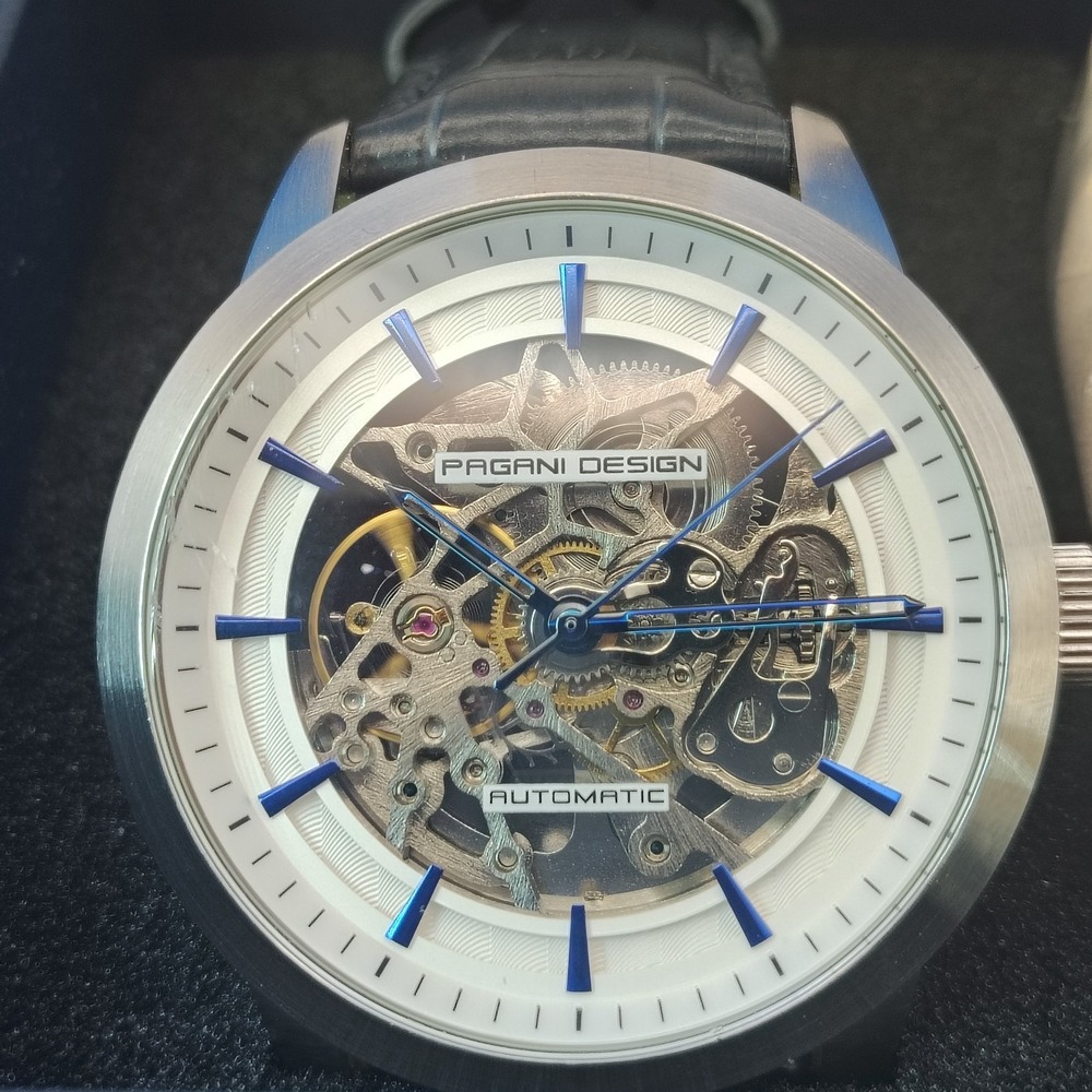 2020 Pagani Design PD-1638 Automatic Skeleton 42mm Mens Watch Full Box Set